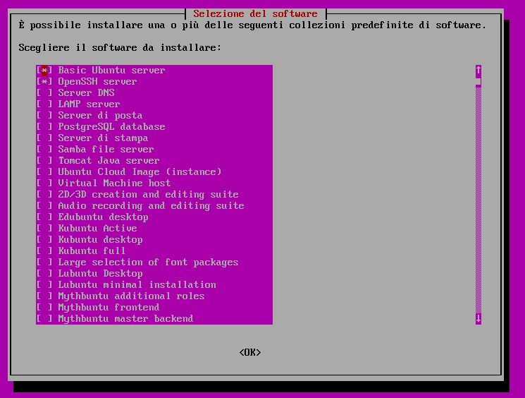 tasksel-install-software-linux-server-ubuntu_img_01